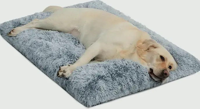 Spacious Dog Bed Ideal for Mid-Sized Pets & Felines - Warming, Anti-Slip, Comfy