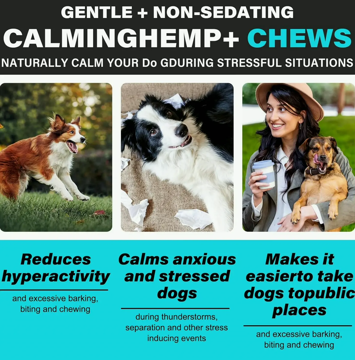 Hemp Calming Chews for Canines: 150 Soft Treats