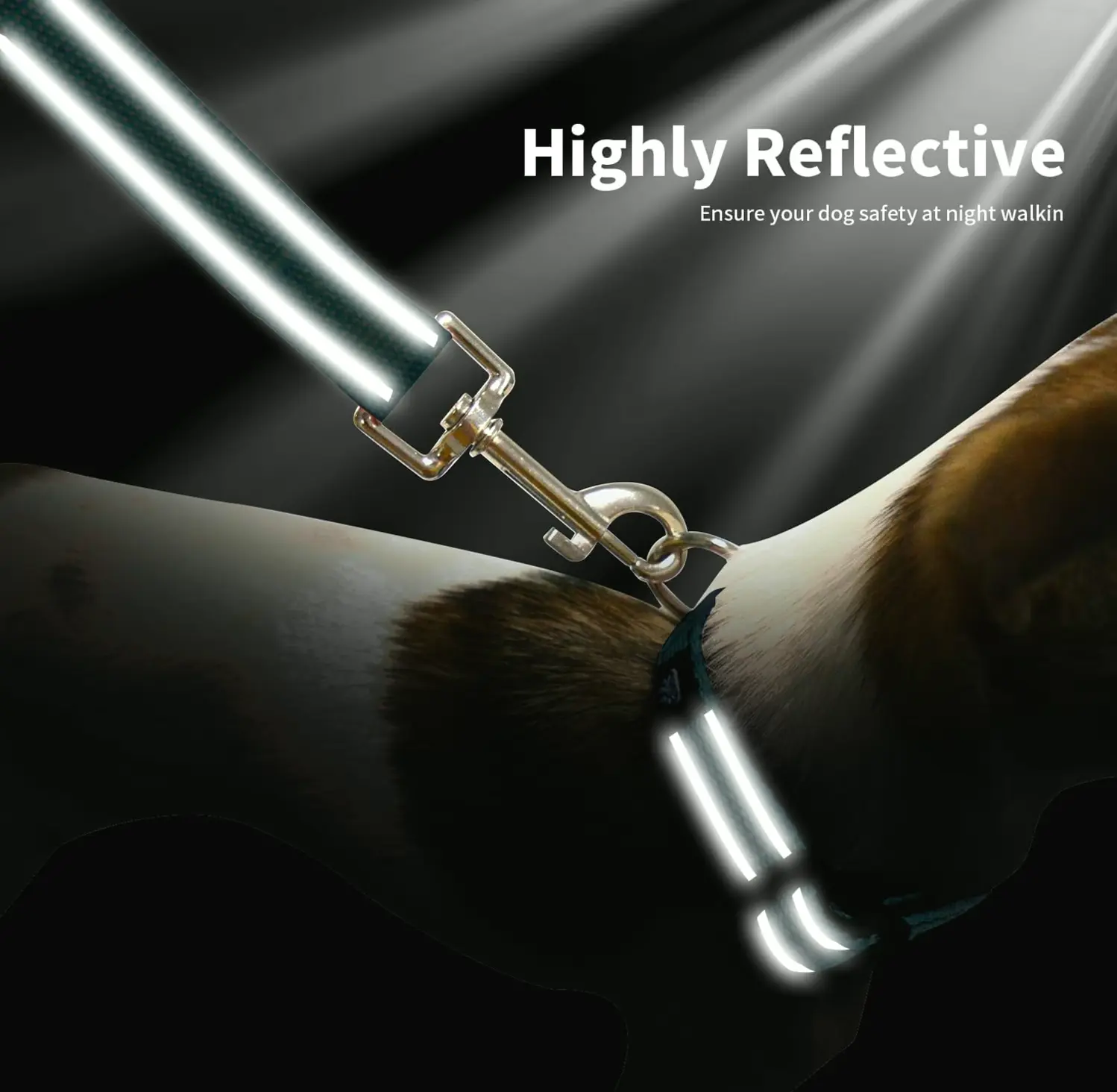 Reflective Dog Collar and Leash Set