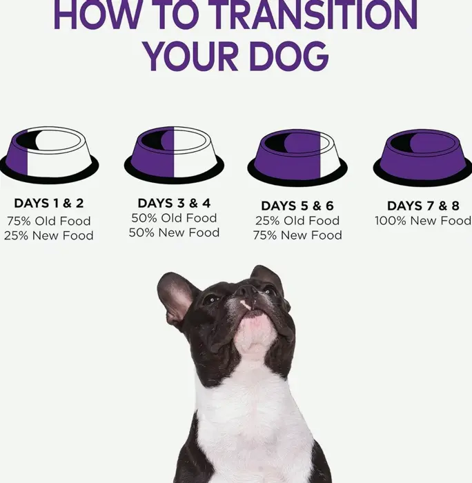 Wellness Small Breed Dry Food with Turkey (12-Pound)