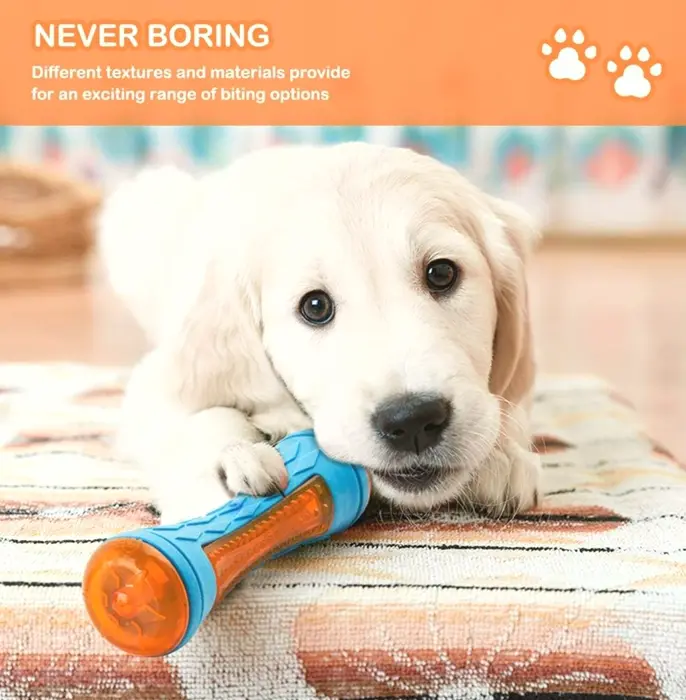 Dog Noise-Making Beach Toys for Interactive Play