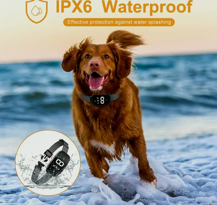 No Canine Bark Collar, Waterproof & Reusable, Customizable Sensitivity