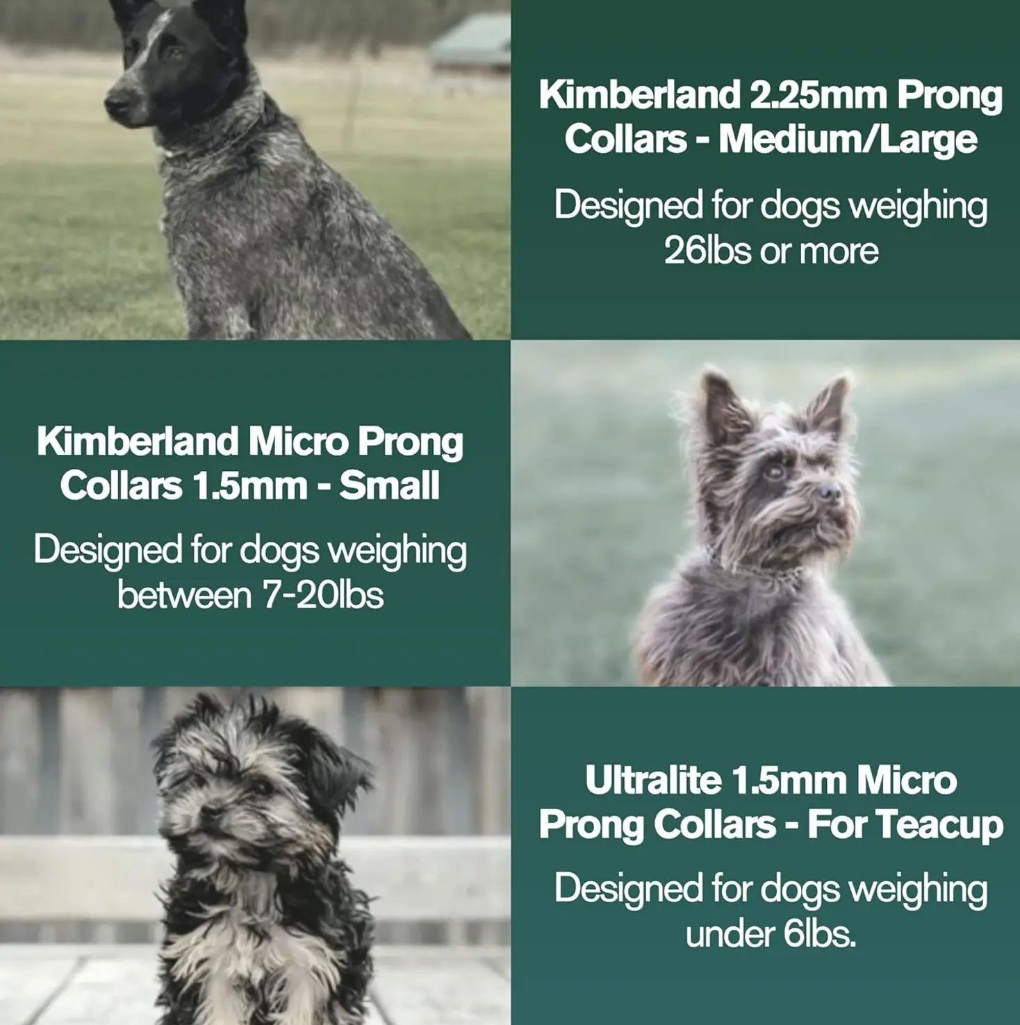 Steel Dog Prong Collar for Big Dogs | No-Pull