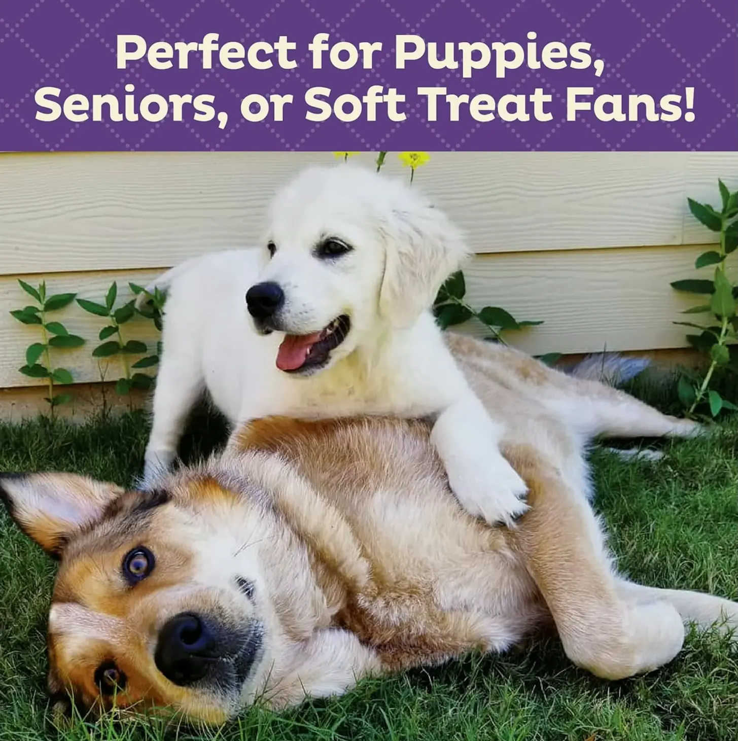 Wellness Soft Treats, Small Portion, 8 Oz Bag