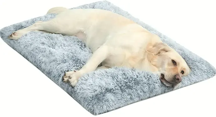 Spacious Dog Bed Ideal for Mid-Sized Pets & Felines - Warming, Anti-Slip, Comfy