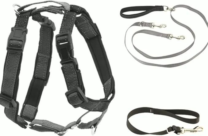 PetSafe Three-in-One Harness plus Two-Point Control Leash, Resizing, Minor, Dark
