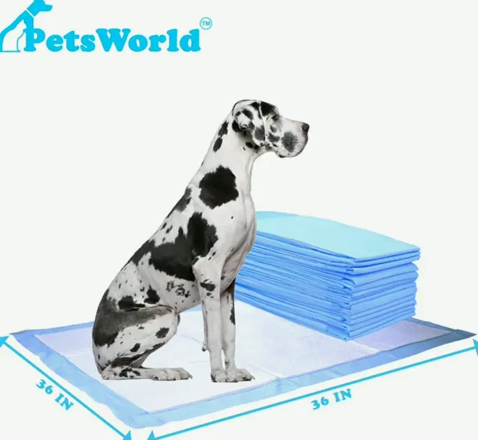 Gigantic Pee Training Pads for Pets - Smell Eliminating 36" x 36" - Pack