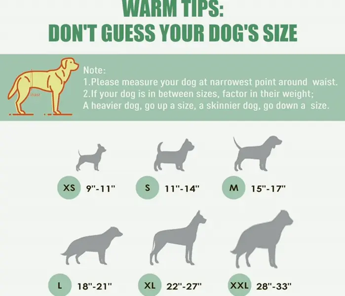 Washable Pet Belly Band - Set of 3