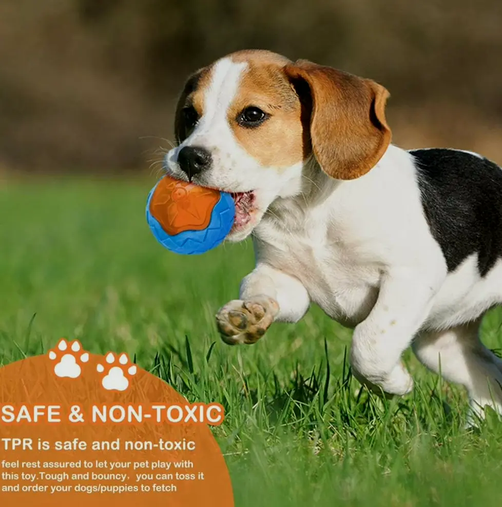 Dog Noise-Making Beach Toys for Interactive Play