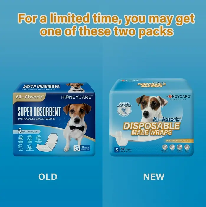 Puppy Diapers for Male Dogs, Small (50 Count)