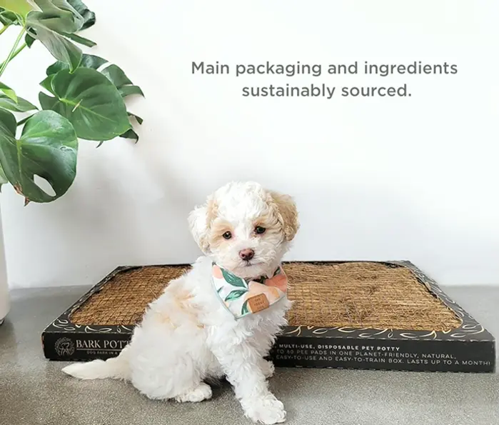 Disposable Canine Litter Pad - Multi-Use, Smell Neutralizer, Leak-proof - Long-lasting