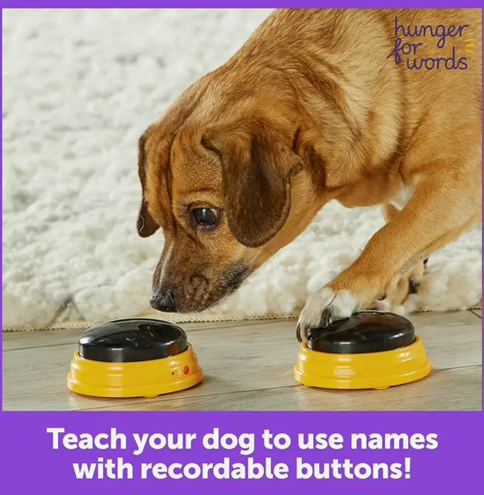 Animal Talk Recorders Set