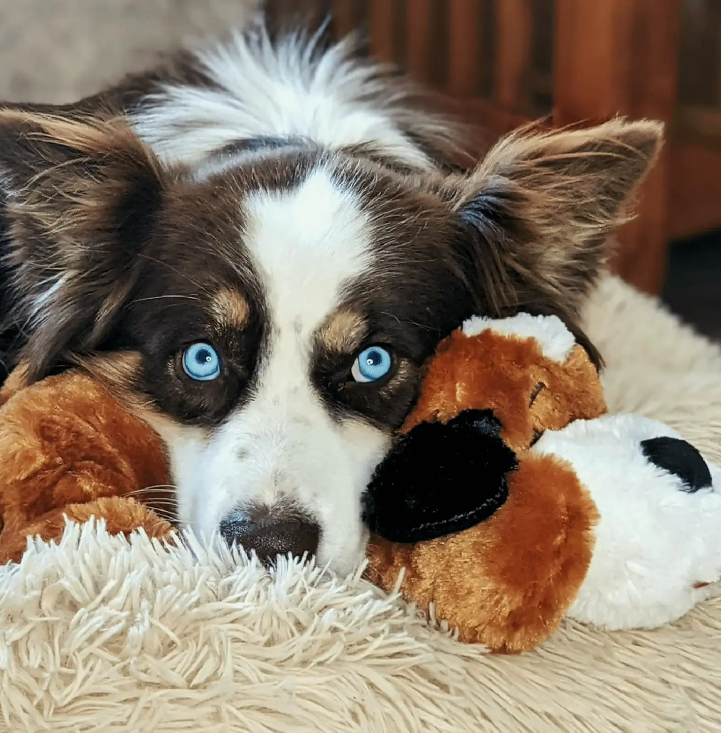 SmartPetLove Cuddle Pup Heartbeat Dog Toy